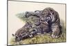 Smilodon Sabertooth Mother and Her Cubs-null-Mounted Art Print