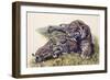 Smilodon Sabertooth Mother and Her Cubs-null-Framed Premium Giclee Print