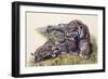 Smilodon Sabertooth Mother and Her Cubs-null-Framed Premium Giclee Print