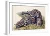 Smilodon Sabertooth Mother and Her Cubs-null-Framed Premium Giclee Print