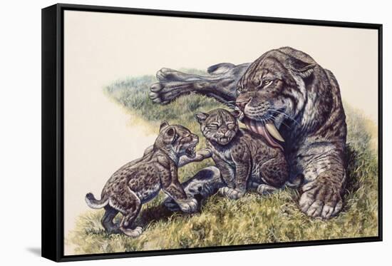 Smilodon Sabertooth Mother and Her Cubs-null-Framed Stretched Canvas