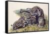 Smilodon Sabertooth Mother and Her Cubs-null-Framed Stretched Canvas