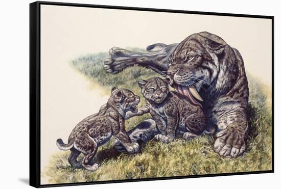 Smilodon Sabertooth Mother and Her Cubs-null-Framed Stretched Canvas