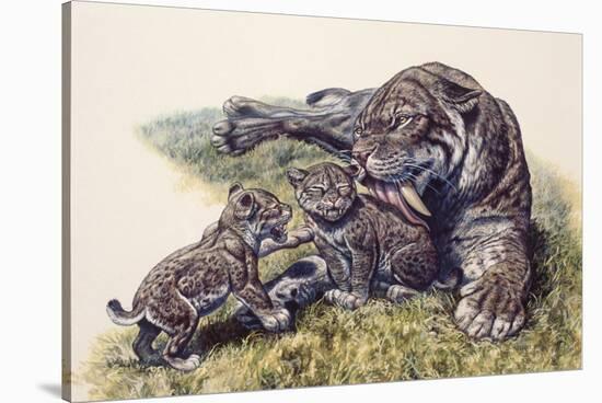 Smilodon Sabertooth Mother and Her Cubs-null-Stretched Canvas