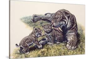 Smilodon Sabertooth Mother and Her Cubs-null-Stretched Canvas