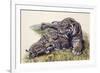 Smilodon Sabertooth Mother and Her Cubs-null-Framed Art Print