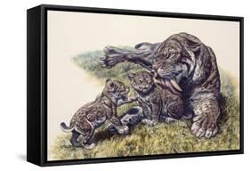 Smilodon Sabertooth Mother and Her Cubs-null-Framed Stretched Canvas