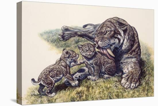 Smilodon Sabertooth Mother and Her Cubs-null-Stretched Canvas