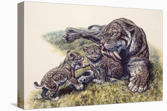 Smilodon Sabertooth Mother and Her Cubs-null-Stretched Canvas