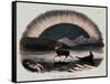 Smimthsonian Libraries: Aurora Borealis from "Thirty Plates Illustrative of Natural Phenomena"-null-Framed Stretched Canvas