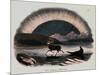 Smimthsonian Libraries: Aurora Borealis from "Thirty Plates Illustrative of Natural Phenomena"-null-Mounted Art Print