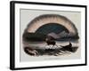 Smimthsonian Libraries: Aurora Borealis from "Thirty Plates Illustrative of Natural Phenomena"-null-Framed Art Print