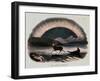 Smimthsonian Libraries: Aurora Borealis from "Thirty Plates Illustrative of Natural Phenomena"-null-Framed Art Print