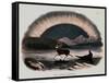 Smimthsonian Libraries: Aurora Borealis from "Thirty Plates Illustrative of Natural Phenomena"-null-Framed Stretched Canvas