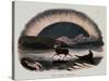 Smimthsonian Libraries: Aurora Borealis from "Thirty Plates Illustrative of Natural Phenomena"-null-Stretched Canvas