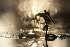 Underwater View of White Water Lily Roots (Nymphaea Alba) and Pond Weed, Gornje Podunavlje, Serbia-Smit-Photographic Print