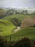 Rangiwahia Road, Winding Through Sheep Pasture in Rural Manawatu, North Island, New Zealand-Smith Don-Photographic Print