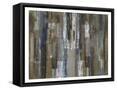 Framed Canvas