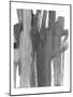 Wood Mount