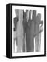 Framed Canvas