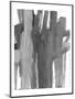 Wood Mount