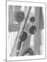 Wood Mount