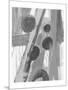 Wood Mount
