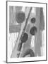 Wood Mount