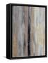 Framed Canvas