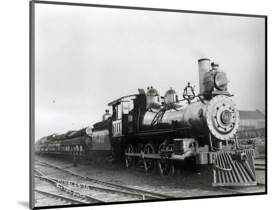 Photographic Print, , large