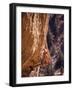 Smith Rock, Oregon, USA-null-Framed Photographic Print