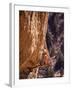 Smith Rock, Oregon, USA-null-Framed Photographic Print