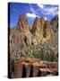 Smith Rock, Oregon-Steve Terrill-Stretched Canvas