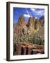 Smith Rock, Oregon-Steve Terrill-Framed Photographic Print