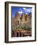 Smith Rock, Oregon-Steve Terrill-Framed Photographic Print