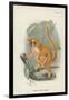 Smith's Dwarf-Lemur-null-Framed Giclee Print