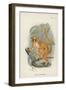 Smith's Dwarf-Lemur-null-Framed Giclee Print