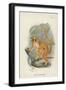 Smith's Dwarf-Lemur-null-Framed Giclee Print