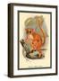 Smith's Dwarf-Lemur-Sir William Jardine-Framed Art Print