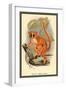 Smith's Dwarf-Lemur-Sir William Jardine-Framed Art Print