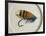 Smith Salmon Fly-null-Framed Photographic Print