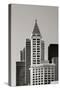 Smith Tower BW-Douglas Taylor-Stretched Canvas