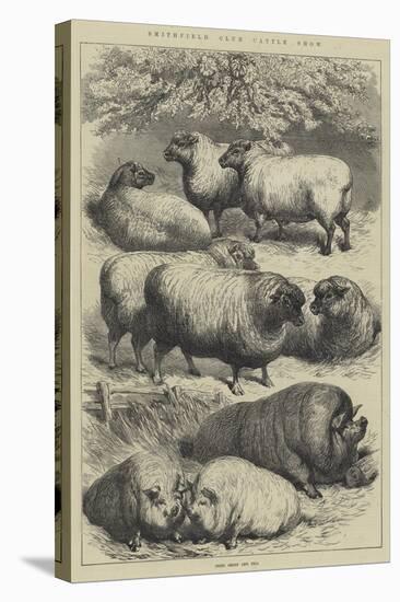 Smithfield Club Cattle Show, Prize Sheep and Pigs-null-Stretched Canvas