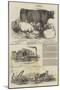 Smithfield Club Cattle Show-Harrison William Weir-Mounted Giclee Print