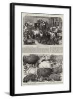 Smithfield Club Prizes-null-Framed Giclee Print