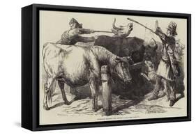 Smithfield Market, the Drover's Goad-Harrison William Weir-Framed Stretched Canvas