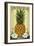 Smithfield, Virginia - Colonial Pineapple-Lantern Press-Framed Art Print