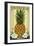 Smithfield, Virginia - Colonial Pineapple-Lantern Press-Framed Art Print