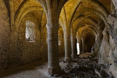 Chillon Medieval Castle Vault Room, Geneva, Switzerland-smithore-Photographic Print