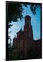 Smithsonian Castle Dawn-Steve Gadomski-Framed Premium Photographic Print